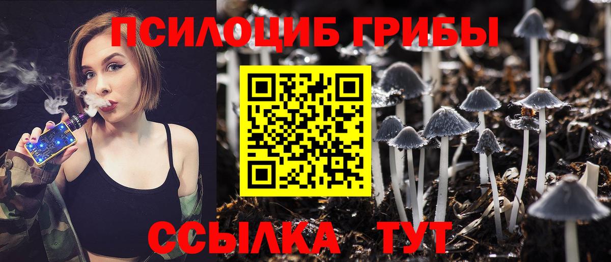 Псилоцибиновые грибы GOLDEN TEACHER Шелехов