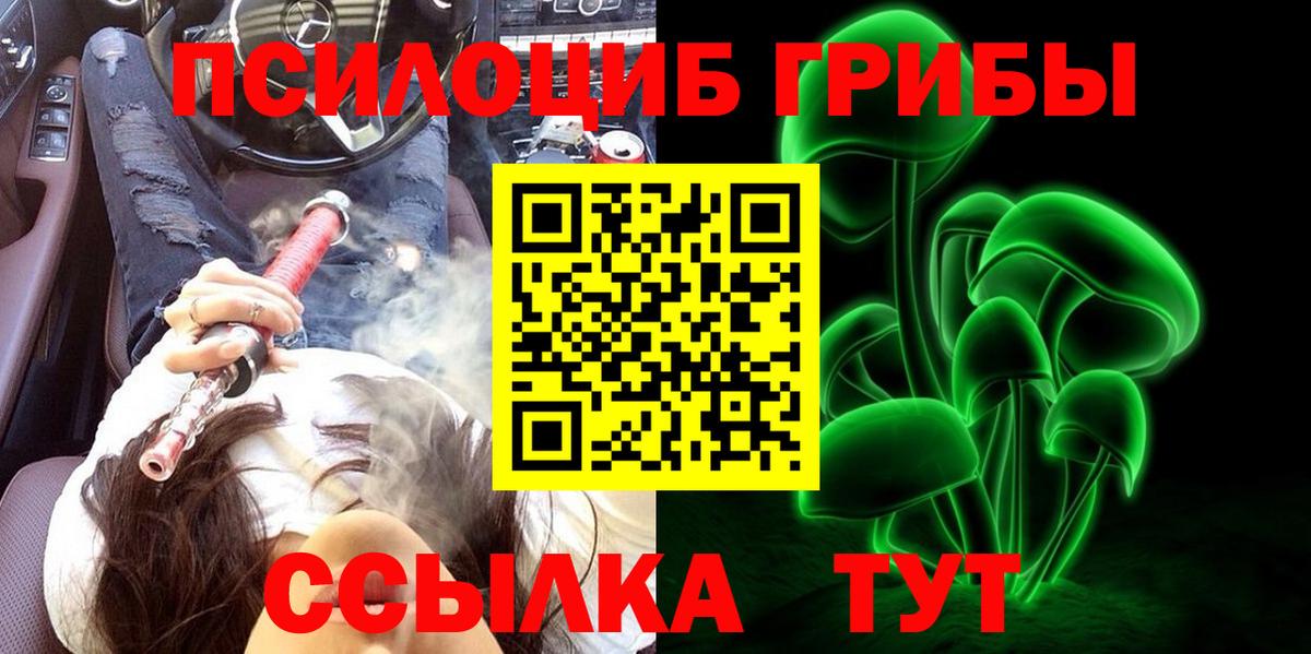 Псилоцибиновые грибы GOLDEN TEACHER  Псилоцибиновые грибы мицелий  Вход с VPN  Шелехов 